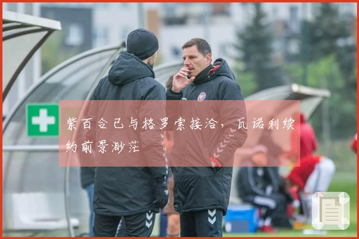 紫百合已与格罗索接洽，瓦诺利续约前景渺茫